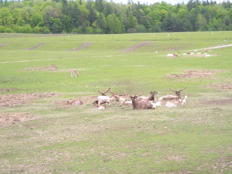 image5